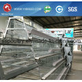 Silver Star Poultry Farm Layer Chicken Cage